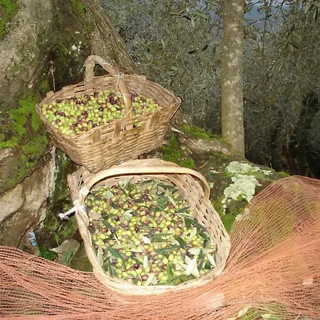 Hotel A Veggia Vigna 3*