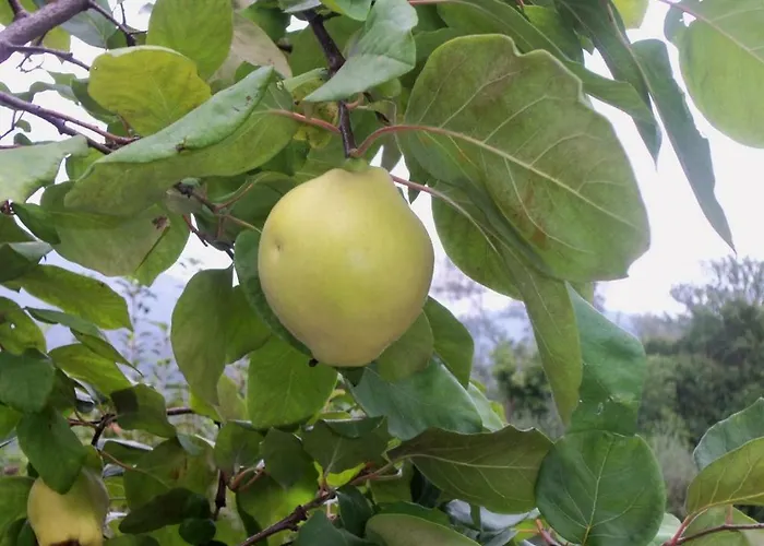 Szálloda A Veggia Vigna